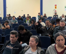 Detran-PR arrecada mais de R$ 4,8 milhões em leilões de veículos e materiais ferrosos