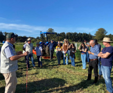 Integração lavoura-pecuária é destaque da II Mostra Tecnológica Fazenda-Modelo, em Ponta Grossa
