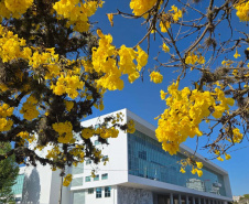 Primavera começa na próxima segunda com temperaturas altas; estação terá tempestades