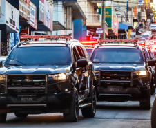 Operação Sinergia III é concluída com mais de 13 toneladas de drogas retiradas de circulação