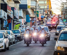 Operação Sinergia III é concluída com mais de 13 toneladas de drogas retiradas de circulação