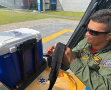 Missão de vida: PMPR utiliza transporte aéreo para agilizar doação de órgãos