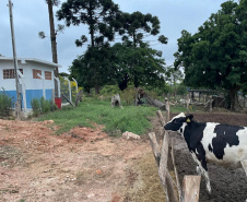 Sanepar Rural: Companhia promove encontro com moradores de Catanduvas de Fora, em Carambeí