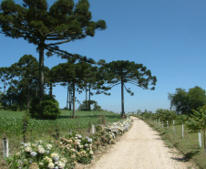 Prêmio Jacó Gimenes