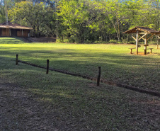 IAT - Parque Estadual de Amaporã