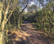 IAT - Parque Estadual de Amaporã