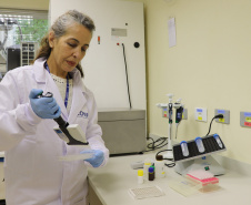Alimentação escolar: controle rigoroso garante cardápios nutritivos e saudáveis nas escolas do Paraná