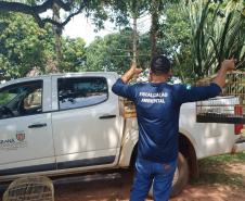 Técnicos do Instituto Água e Terra (IAT) resgataram seis aves silvestres que eram mantidas em cativeiro irregular em Umuarama
