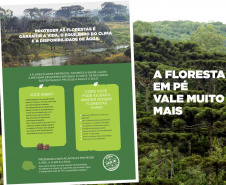 Instituto Água e Terra vai ampliar a coleção de materiais didáticos voltados à sensibilização e conscientização ambiental com seis novas cartilhas.