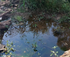  Instituto Água e Terra multou em R$ 25 mil a prefeitura de Cruz Machado pela utilização irregular de equipamentos do município para a prática de crimes ambientais