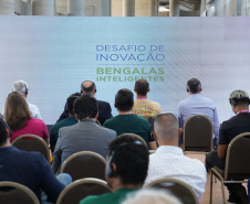 INOVAÇÃO: Estado premia 10 finalistas do Desafio de Inovação: Bengalas Inteligentes