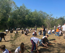 Ação de educação ambiental organizada pelo IAT estimula a troca de roupas infantis e brinquedos novos ou em bom estado por mudas de espécies nativas