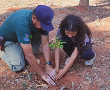 Ação de educação ambiental organizada pelo IAT estimula a troca de roupas infantis e brinquedos novos ou em bom estado por mudas de espécies nativas