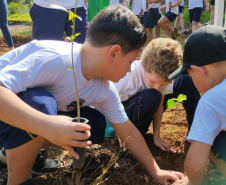 Ação de educação ambiental organizada pelo IAT estimula a troca de roupas infantis e brinquedos novos ou em bom estado por mudas de espécies nativas