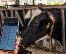 Paraná fortalece ensino agrícola com tecnologia, cursos técnicos e inovação aplicada