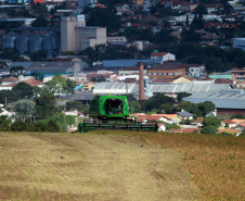 FEIJAO