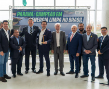 PALMAS