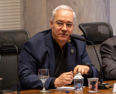 PALMAS