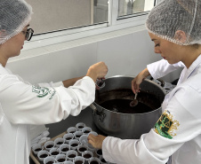 Alimentação escolar: controle rigoroso garante cardápios nutritivos e saudáveis no Paraná