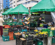 Ciência a serviço do campo: Paraná investe R$ 14,7 milhões em nova fase do programa de orgânicos