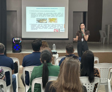 Proliferação do escorpião mobiliza gestores, comunidade e agentes de saúde durante a semana