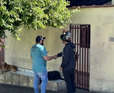  Estado e equipes municipais de saúde de Cambará se unem para disseminar informação e capturar escorpiões