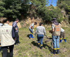 Crianças e adolescentes participam de ação de educação para enfrentamento ao escorpião