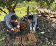 Crianças e adolescentes participam de ação de educação para enfrentamento ao escorpião