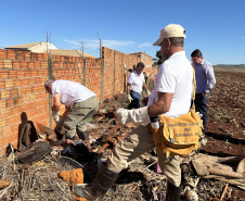  Estado e equipes municipais de saúde de Cambará se unem para disseminar informação e capturar escorpiões
