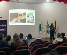 Adapar conscientiza municípios do Oeste sobre os riscos da  raiva dos herbívoros