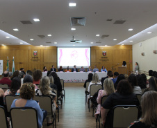 SEMIPI: Nova composição do Conselho Estadual dos Direitos da Mulher assume mandato 2025–2027