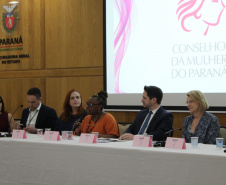 SEMIPI: Nova composição do Conselho Estadual dos Direitos da Mulher assume mandato 2025–2027