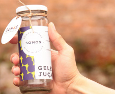  Marca Coletiva “Somos Mata Atlântica”