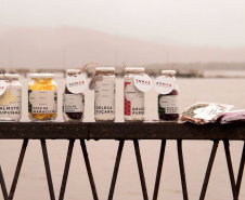  Marca Coletiva “Somos Mata Atlântica”