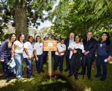 Palácio da Justiça ganha jardins de mel do Poliniza Paraná