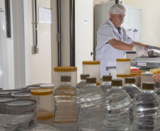 Alimentação escolar: controle rigoroso garante cardápios nutritivos e saudáveis nas escolas do Paraná