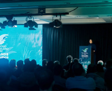 Sanepar é destaque em simpósio nacional sobre wetlands no tratamento de esgoto