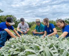 Paraná fortalece ensino agrícola com tecnologia, cursos técnicos e inovação aplicada