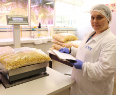 Alimentação escolar: controle rigoroso garante cardápios nutritivos e saudáveis nas escolas do Paraná