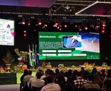 Paraná sedia Simpósio Nacional do Morango e lança Rota Turística do Morango Paranaense