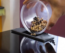 Startup apoiada pelo Estado cria equipamento que utiliza IA para análise de grãos