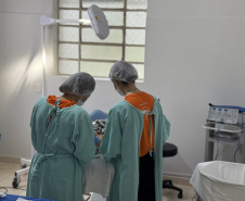 Hospital de Dermatologia Sanitária do Paraná (São Roque) completa 99 anos como referência no tratamento dermatológico