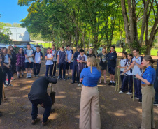 Com 25.340 mudas, Instituto Água e Terra (IAT) superou em 20% a meta de distribuição de espécies nativas durante a Semana da Árvore, celebrada entre 15 e 21 de setembro (Dia da Árvore).