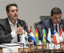 Curitiba, 23 de outubro de 2025 - Sessão plenária da Zicosul (por videoconferência).