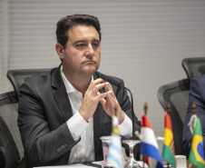 Curitiba, 23 de outubro de 2025 - Sessão plenária da Zicosul (por videoconferência).