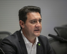 Curitiba, 23 de outubro de 2025 - Sessão plenária da Zicosul (por videoconferência).
