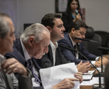 Curitiba, 23 de outubro de 2025 - Sessão plenária da Zicosul (por videoconferência).