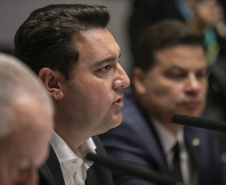 Curitiba, 23 de outubro de 2025 - Sessão plenária da Zicosul (por videoconferência).