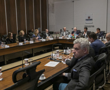 Curitiba, 23 de outubro de 2025 - Sessão plenária da Zicosul (por videoconferência).