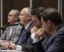 Curitiba, 23 de outubro de 2025 - Sessão plenária da Zicosul (por videoconferência).